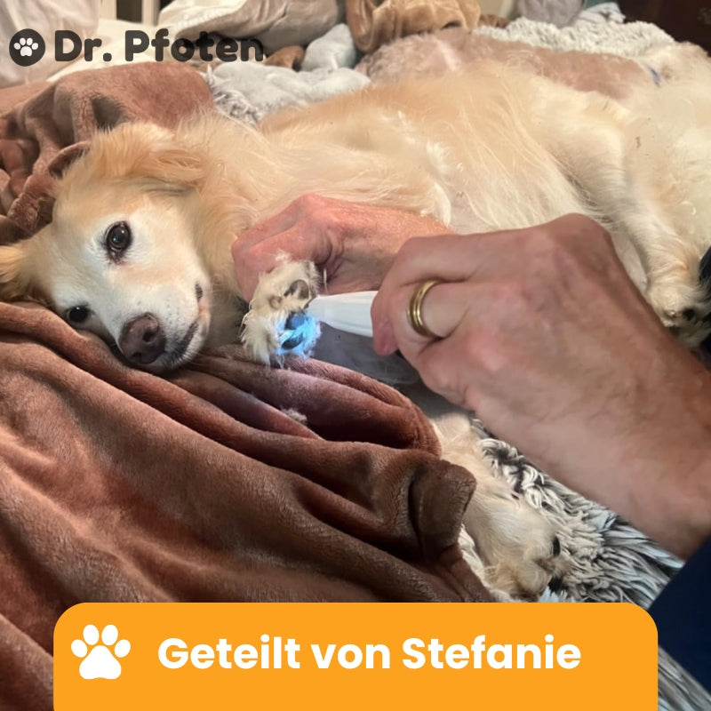 PawTrim™ - Schmerzfreie Pfotenpflege in Sekundenschnelle