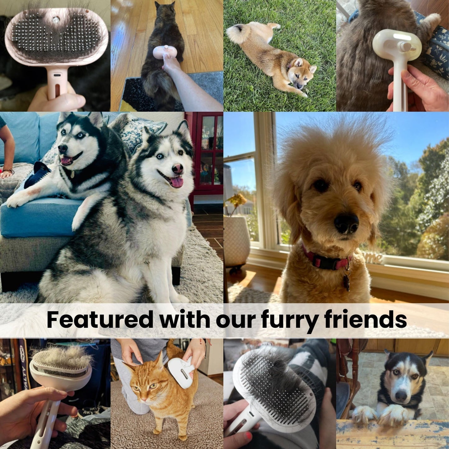 Pawlish™ Pet Care Brush