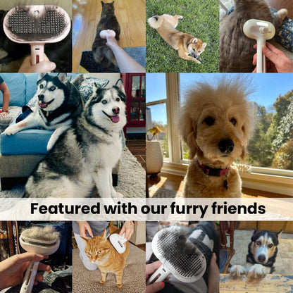 Pawlish™ Pet Care Brush