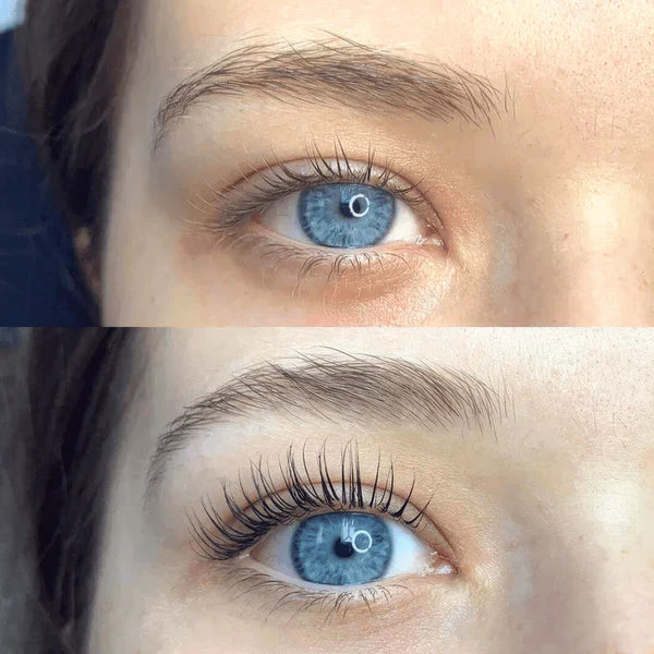 50% RABATT🔥 I LashLuxe™ Wimpernzange