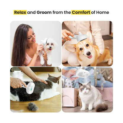 Pawlish™ Pet Care Brush