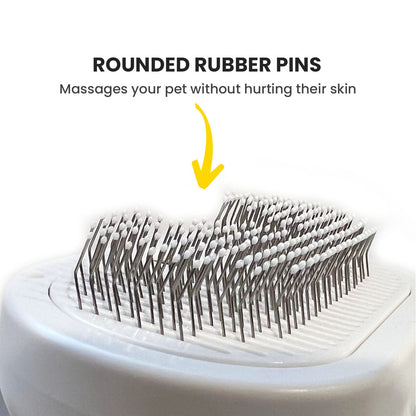 Pawlish™ Pet Care Brush