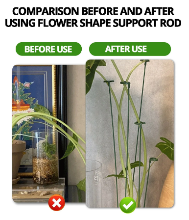 Kaufen 1+1 GRATIS | Bloomoasis™️ Pflanzenstütze Pfahl