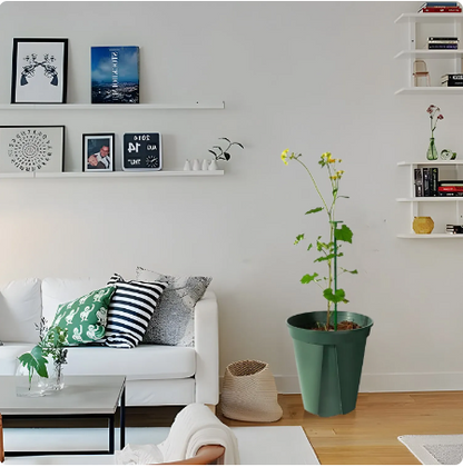 Kaufen 1+1 GRATIS | Bloomoasis™️ Pflanzenstütze Pfahl