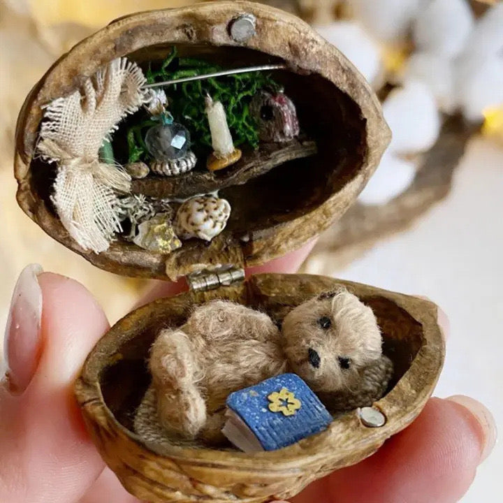 Handgemachtes Walnussschalen-Puppenhaus--mini Bibliothek, winzige Welt in Walnüssen