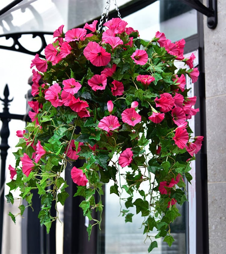 GlanzBlüte Künstliche Ruhmesblume